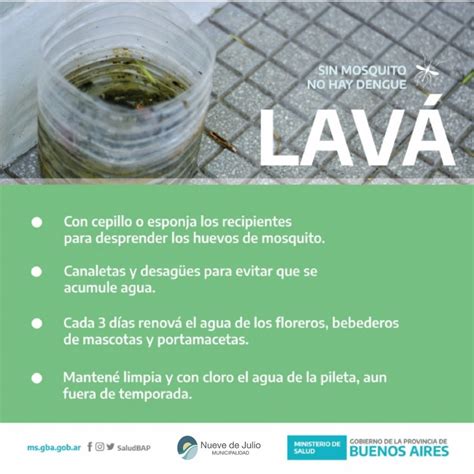 Recomendaciones Para La Prevención Del Dengue Semanario Extra