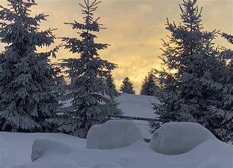 VIDEO Peisaje de vis în Padiș Zăpada și frigul fac un peisaj de