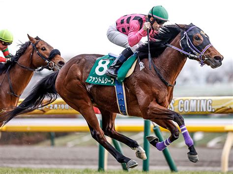 【共同通信杯レース後コメント】ファントムシーフ Cルメール騎手ら 競馬ニュース