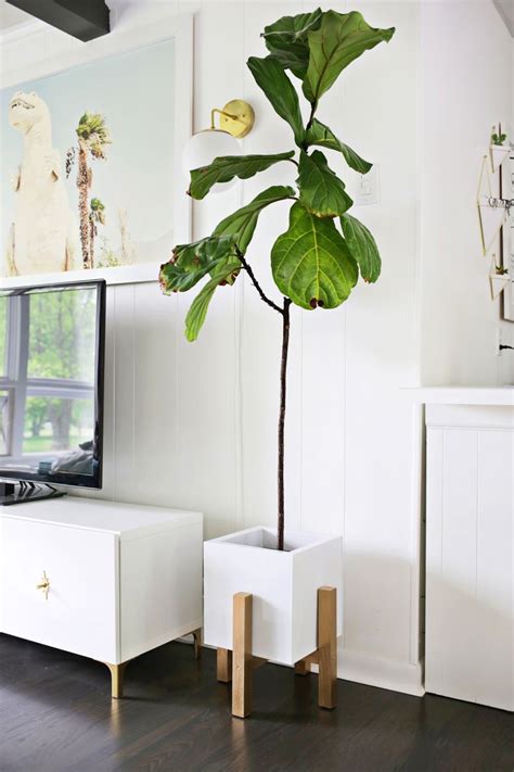 Diy Plant Stands To Fill Your Home With Greenery Greensboro Baths