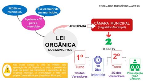 Mapas Mentais da Lei Orgânica Municipal