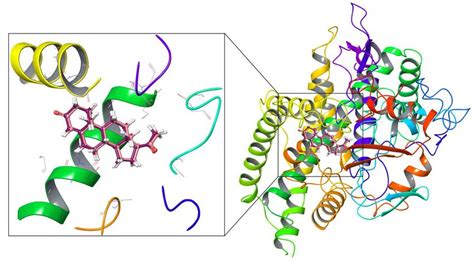 Superimposition Of Docked Pose Of Progesterone Magenta With Its