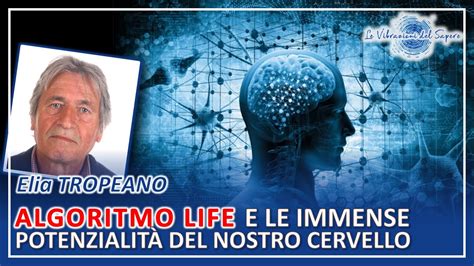 Algoritmo Life E Le Immense Potenzialit Del Nostro Cervello Elia