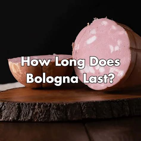 long  bologna    freeze