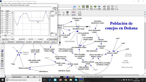 Lecciones Tutorial Din Mica De Sistemas Con Vensim Modelo Conejos En