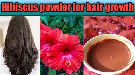 How To Use Hibiscus Powder For Hair Growth Ll Get Soft And Shiny Hair With Hibiscus Powder Youtube