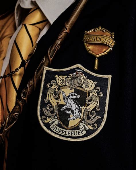 Pin De Emillyy En Film Harry Potter Orgullo Hufflepuff Fotos De