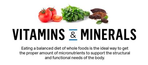 A Guide To Vitamins And Minerals - Shit Hot Infographics