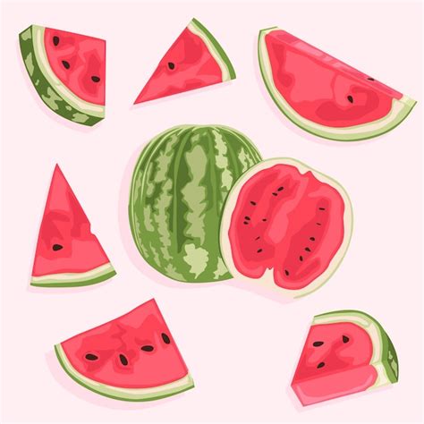 Premium Vector Watermelon Set Of Vector Icons Of Watermelon Whole And