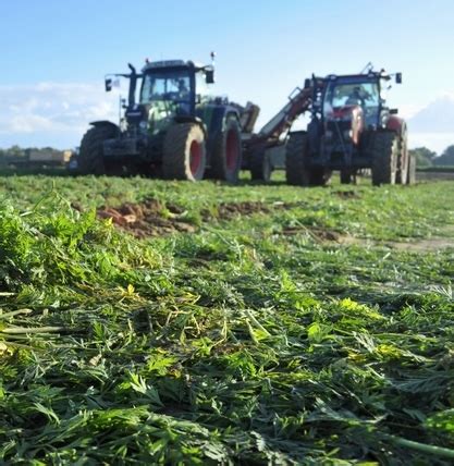 Élection des membres de la chambre dagriculture Maincy