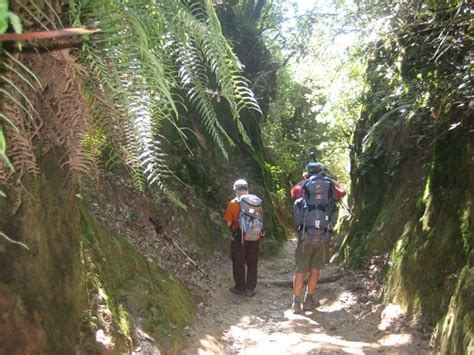 Chisapani Nagarkot Trek Through The Dhap Dam Lake Days Best Offer