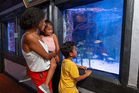 Key West Aquarium Daily Admission Tickets