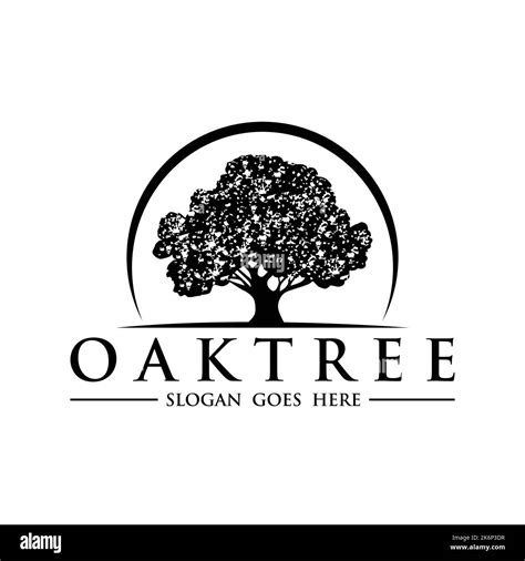 Oak Tree Logo Design Vector Stock Vector Image And Art Alamy