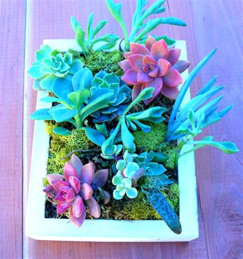 X Vertical Succulent Wall Art Vertical Succulent Planter Etsy