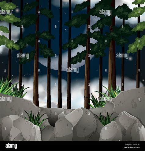 Wood Scene At Night Stock Vector Image And Art Alamy