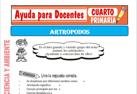 Los Artrópodos para Cuarto de Primaria Ayuda para Docentes