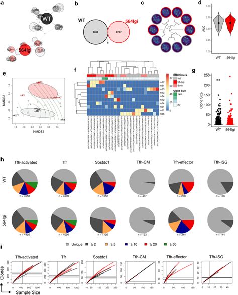 Public Clonotypes Are Distinct Between Autoimmune And Non Autoimmune