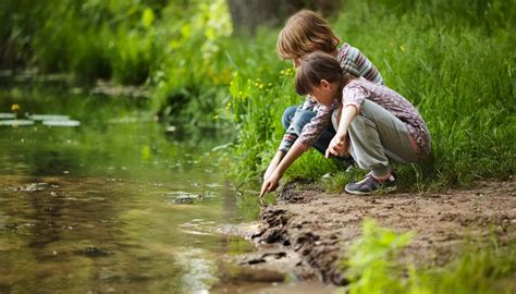 Lentic & Lotic Ecosystems | Sciencing