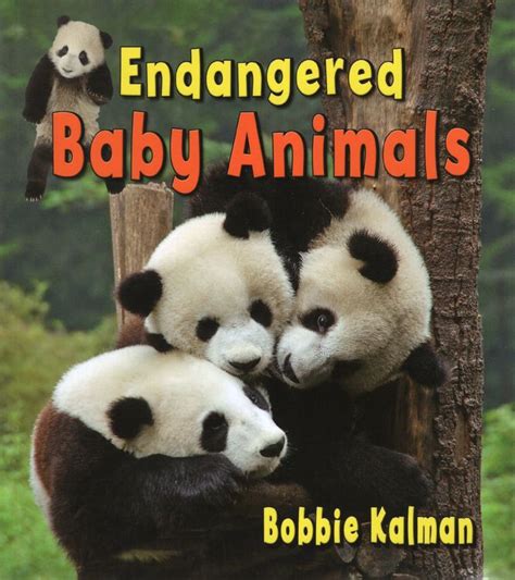 Endangered Baby Animals (It's Fun to Learn about Baby Animals)