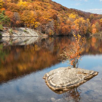 Fall Foliage Cruise to Bear Mountain | Hudson River, Bear Mountain