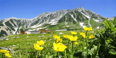 The Snow Walls of Tateyama-Kurobe - SNOW MONKEY RESORTS