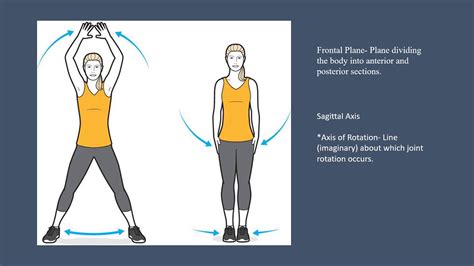 Sagittal Axis Of Rotation