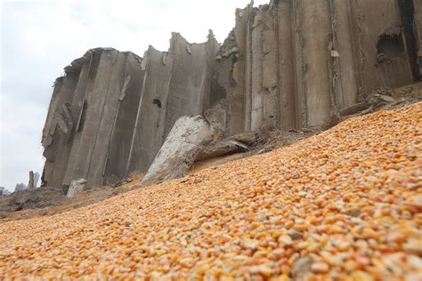 La Explosi N De Beirut Destruye El Silo De Granos Y T De Granos