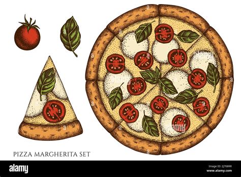 Pizza Hand Drawn Vector Illustrations Collection Colored Pizza