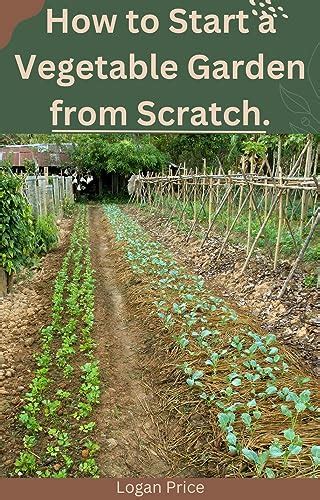 How To Start A Vegetable Garden From Scratch A