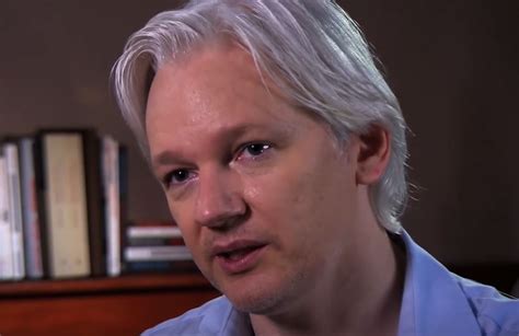 Chi è Julian Assange arrestato oggi news fondatore Wikileaks cosa ha