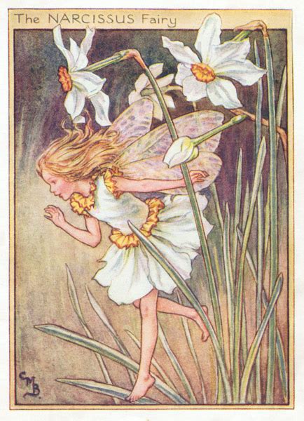 March Fairy Antique Flower Fairies Prints