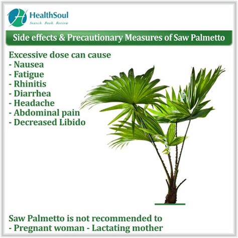 Saw Palmetto Benefits – Healthsoul