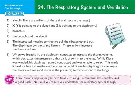 New Grade 9 1 Edexcel International GCSE Biology Revision Question