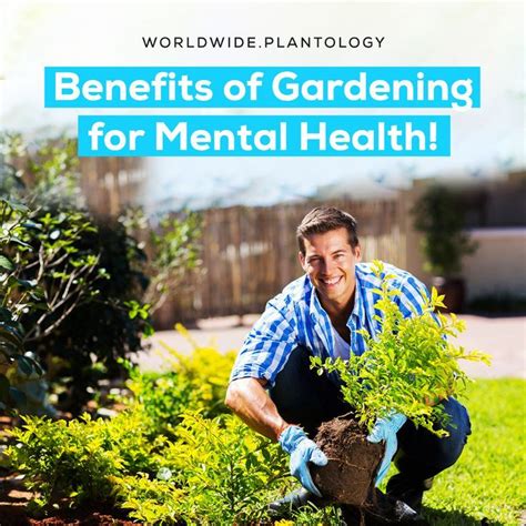 Here Are Eight Mental Health Benefits Of Gardening 👇 Benefits Of