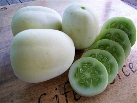 Cucumber, Crystal Apple – LifeForce Seeds