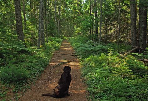 Hiking in Maine with Kelley: 7/23/12 Blue Hill Trails