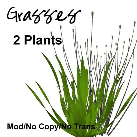 Second Life Marketplace Daz Grass Plants