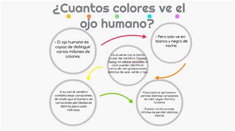 Ilustrar Clínica Cada semana percepción del color por el ojo humano