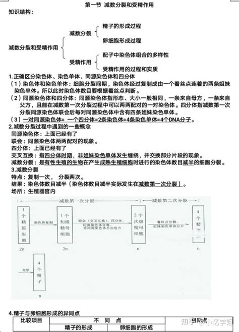 高中生物必修2遗传与进化知识点汇编 知乎