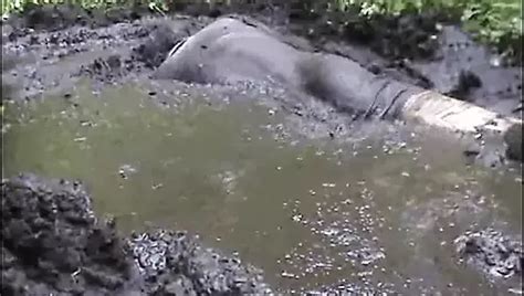 Mud Dress Gay Man Porn Feat Patrycjatv76 XHamster