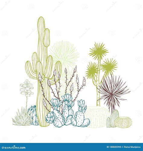 Succulents And Cacti Desert Plants Stock Vector Illustration Of Decoration Exotic 188845995