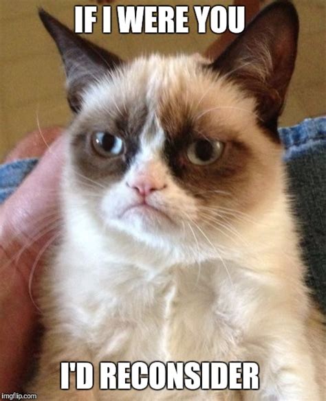 Grumpy Cat Meme Imgflip