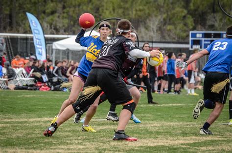 Le Quidditch un sport bien réel Vivreaulycee