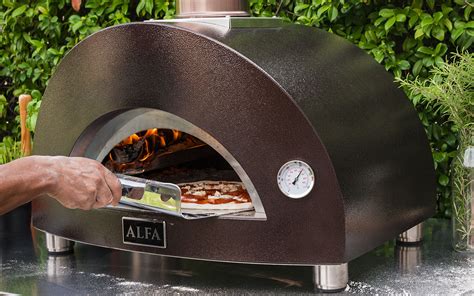 Oven Moderno 1 Pizza Oven For Home Use Alfaforni