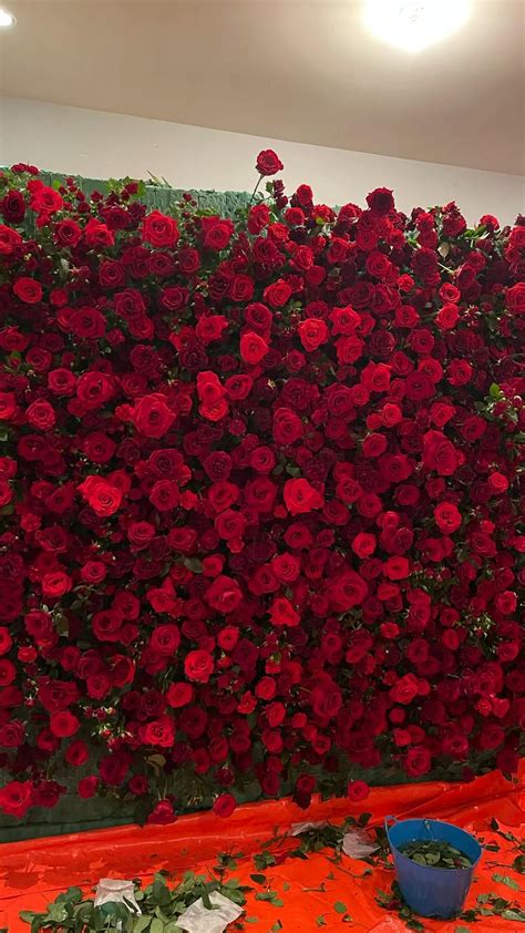 The Red Rose Flower Walls Backdrops For Wedding Wall Event Wall Baby