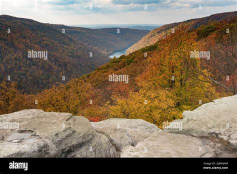 Fall colors in forest at Coopers Rock State Park WV Stock Photo - Alamy