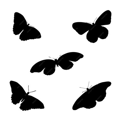 Premium Vector Seamless Flock Of Silhouette Black Butterflies On