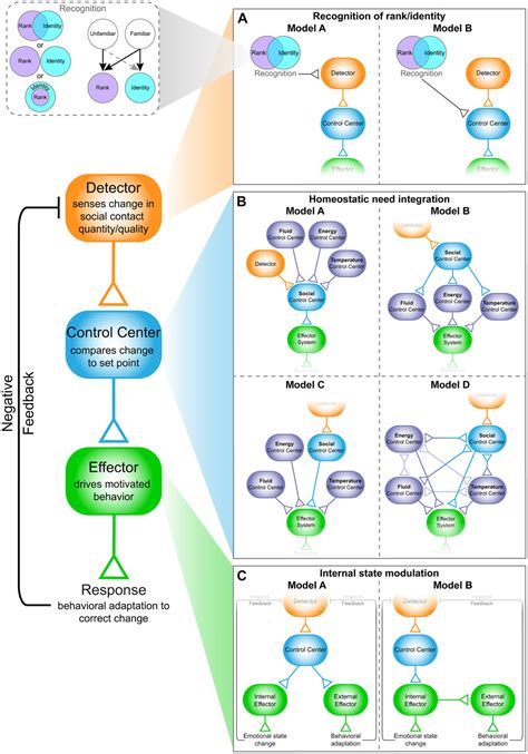 Neural Mechanisms Of Social Homeostasis Science Behaviour Homeostasis