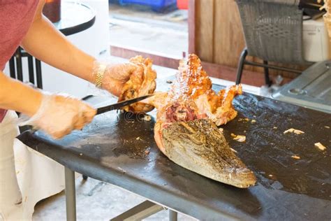 Carne Do Crocodilo Foto De Stock Imagem De Cozinhado