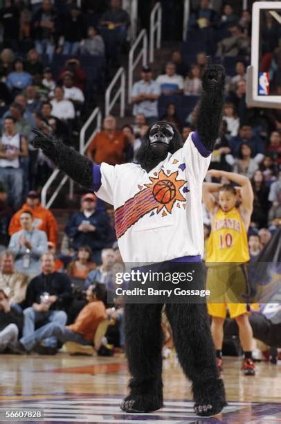 Phoenix Suns Gorilla Mascot Photos and Premium High Res Pictures ...